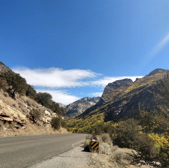 Meet your Posher, Scott - Picture 1 of 1